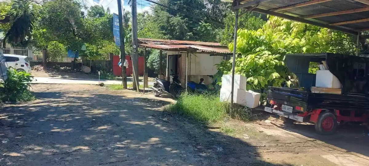 Lot for Sale - photo 5