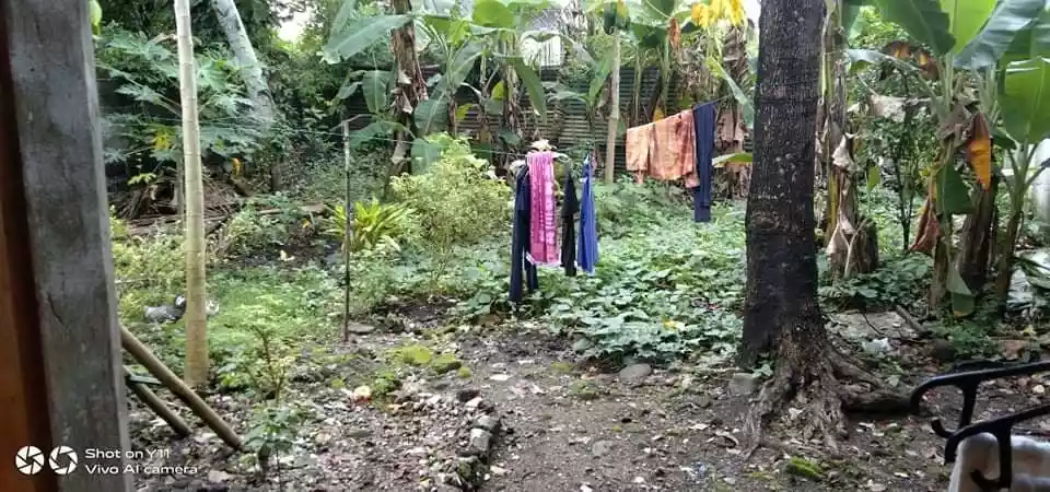 Rush Sale House and Lot in Inopacan Leyte!!! — House and Lot in Inopacan, Leyte, Philippines — Photo 4