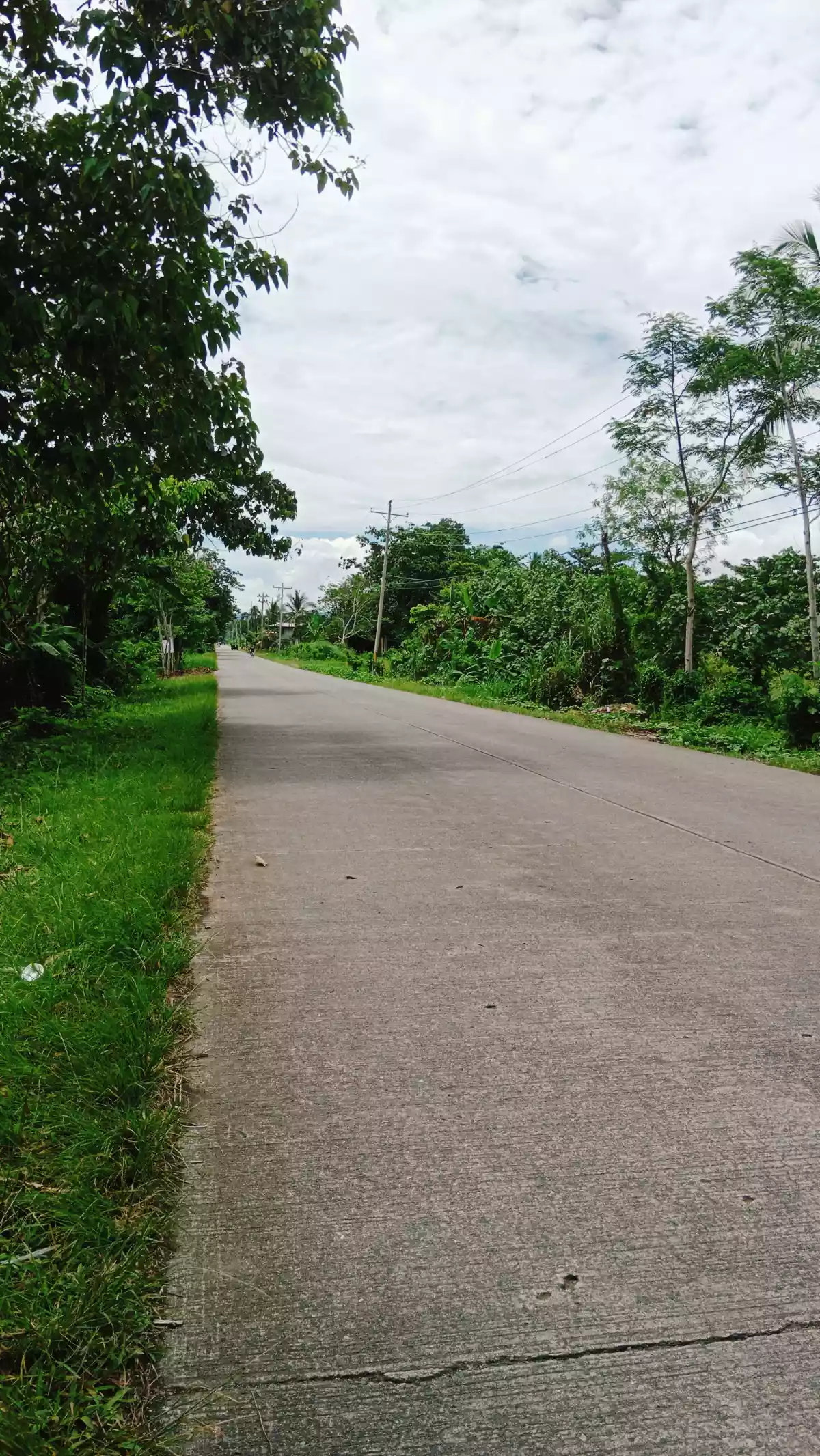 Residential/Agricultural Land along the road — Agricultural Lot in Cabadbaran City, Agusan Del Norte, Philippines — Photo 2