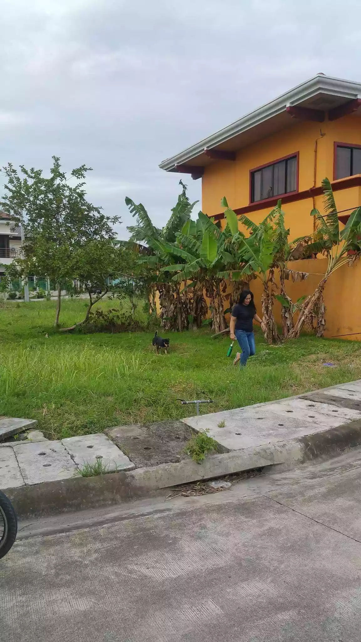 Lot at Pacific Grand Villa — Residential Lot in Cebu, Philippines — Photo 3