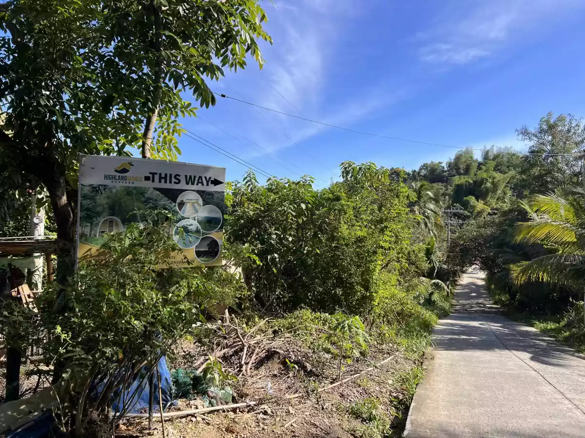 Lot for Sale in Lanipga Consolacion, Cebu — Agricultural Lot in Cebu, Philippines — Photo 3