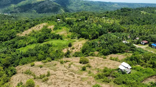 2.9 Hectares Overlooking Farm Lot For Sale in Initao Misamis Oriental — Agricultural Lot in Bayan ng Opol, Lalawigan ng Misamis Oriental, Philippines — Photo 3