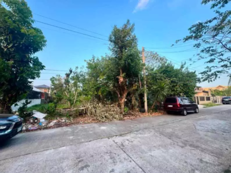 For Sale Residential Lot in Villamonte, Bacolod City 360 sqm — Residential Lot in Bacolod City, Negros Occidental, 6100 — Photo 6