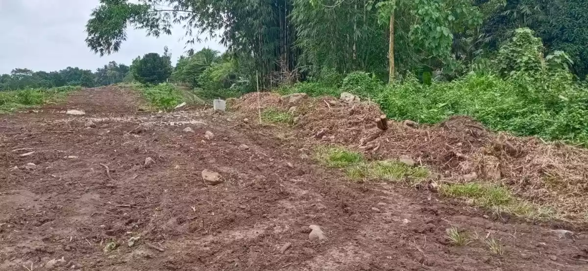4 Hectares Lot for Sale Tacunan Tugbok Davao City