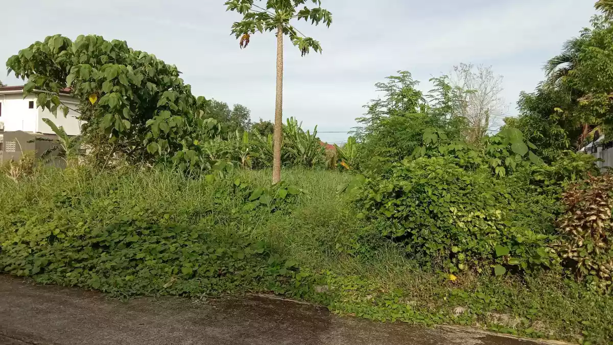 RESIDENTIAL LOT AVAILABLE — Residential Lot in Jaro, Iloilo City, Iloilo — Photo 5