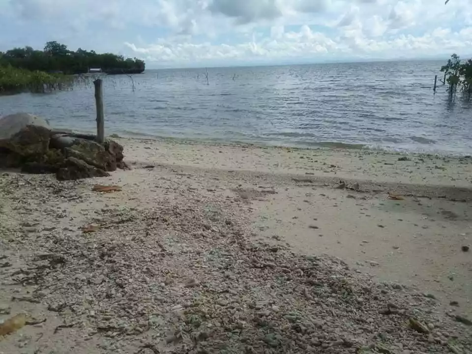MALAPASCUA BEACH LOT FOR SALE - photo 6