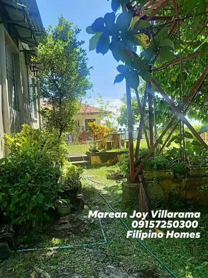 196SQM Home Property with Sari-sari Store — House and Lot in Danlag, Consolacion, Cebu — Photo 2