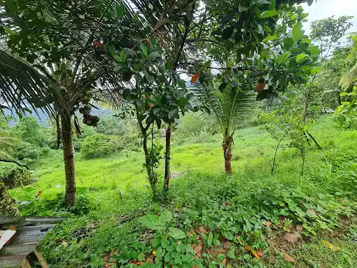 Open photo 11 of 12 — Lot for Sale
