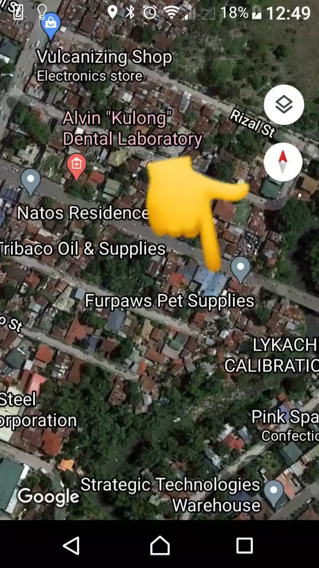 Gonzaga Property 