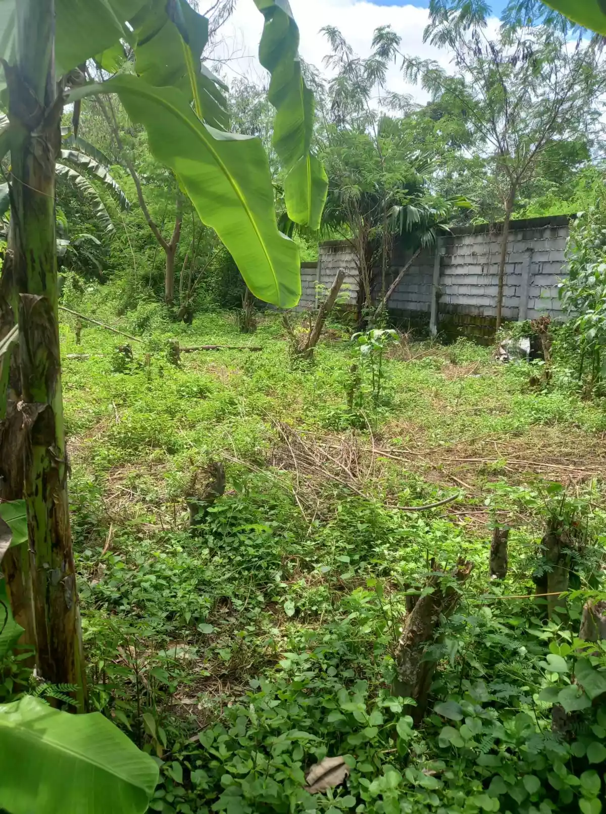 147sqm Lot Only near UST Campus Gensan. — Residential Lot in Pan-Philippine Highway, General Santos City, South Cotabato — Photo 7