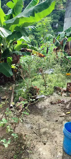 Residential/ Commercial Lot in Kalunasan — Residential Lot in Cebu City, Cebu, Philippines — Photo 4