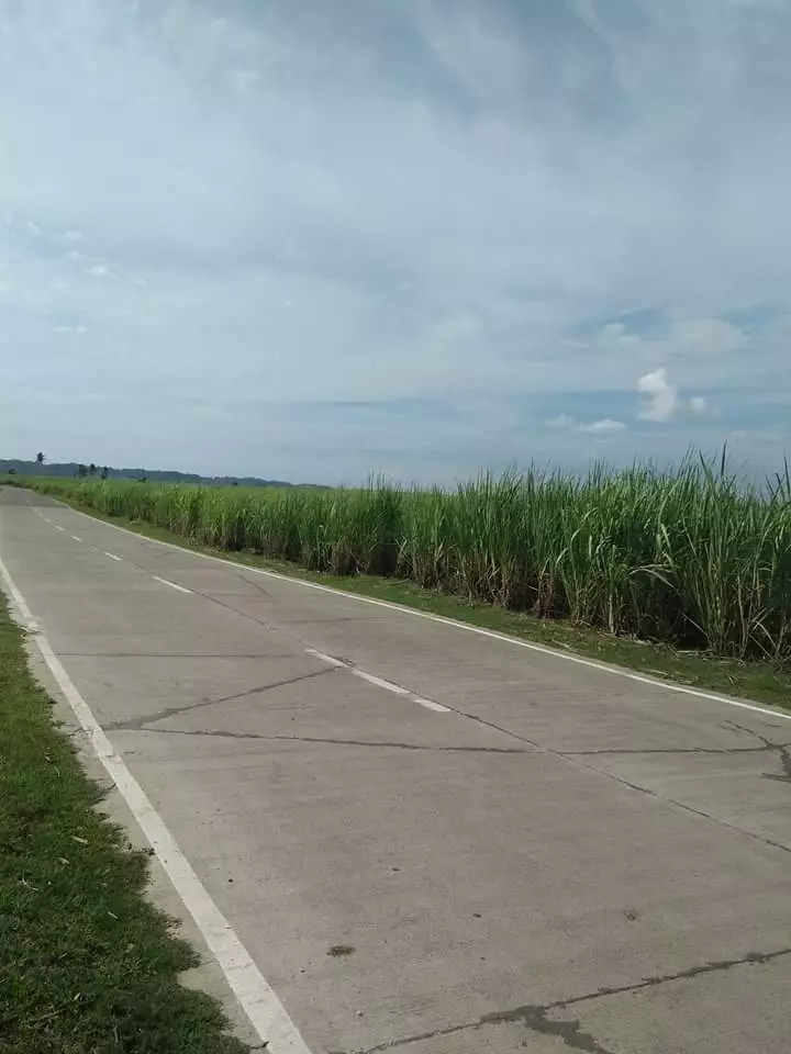 Affordable lot for sale - photo 3