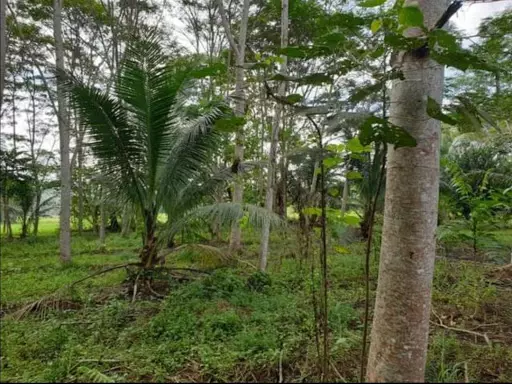 Open photo 17 of 19 — Agricultural farm