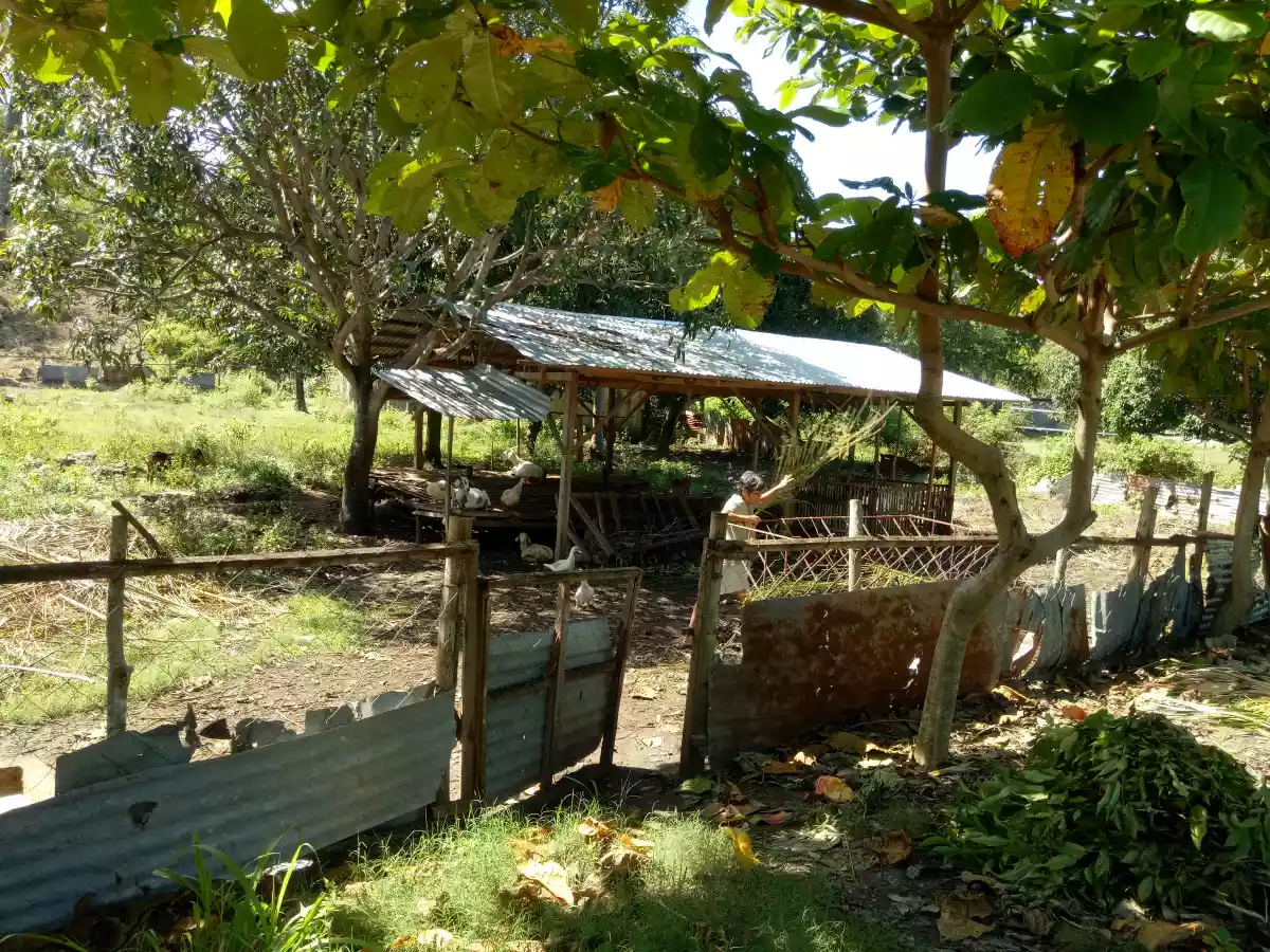 Title - photo 3