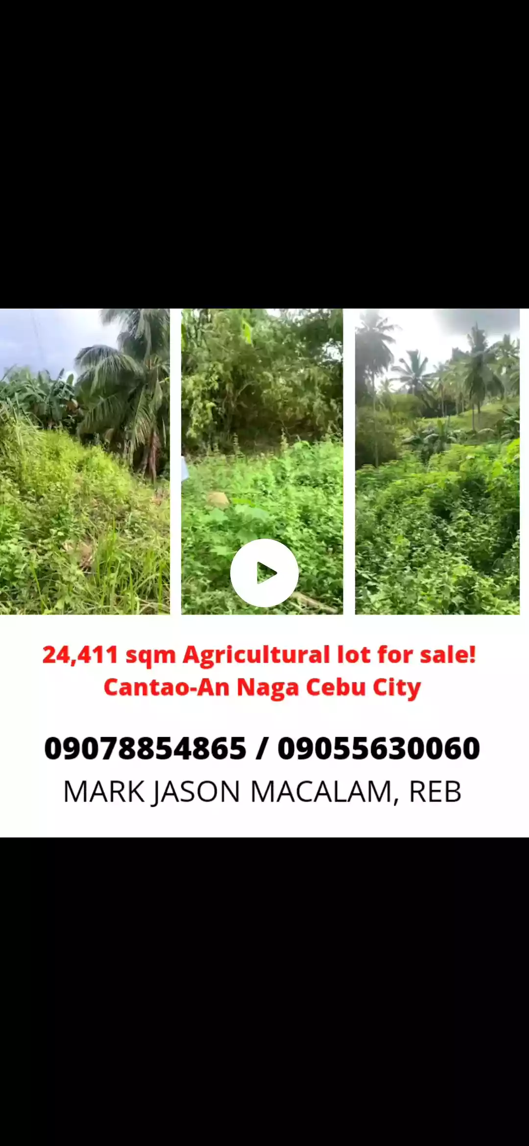 Agricultural Lot in Naga Cebu for Sale  - photo 2