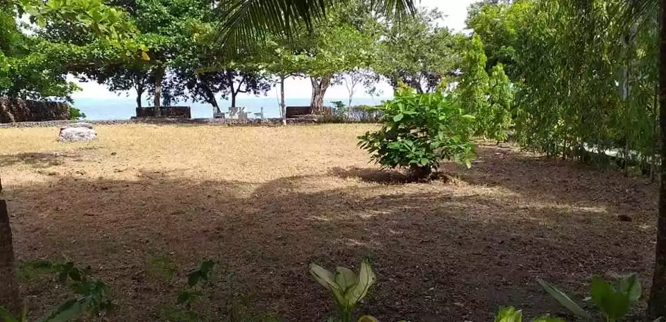 CAMOTES ISLAND BEACH LOT - photo 7