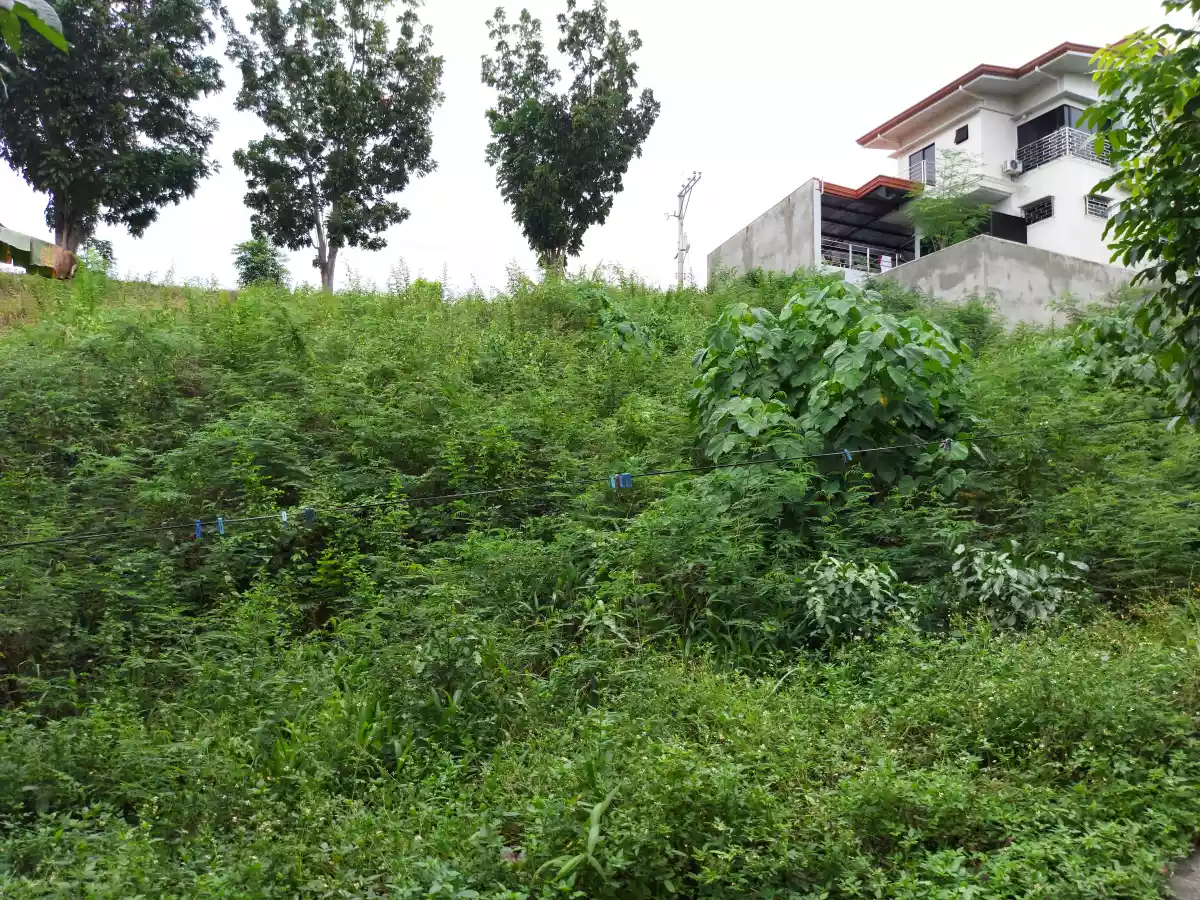 Lot for sale - photo 4