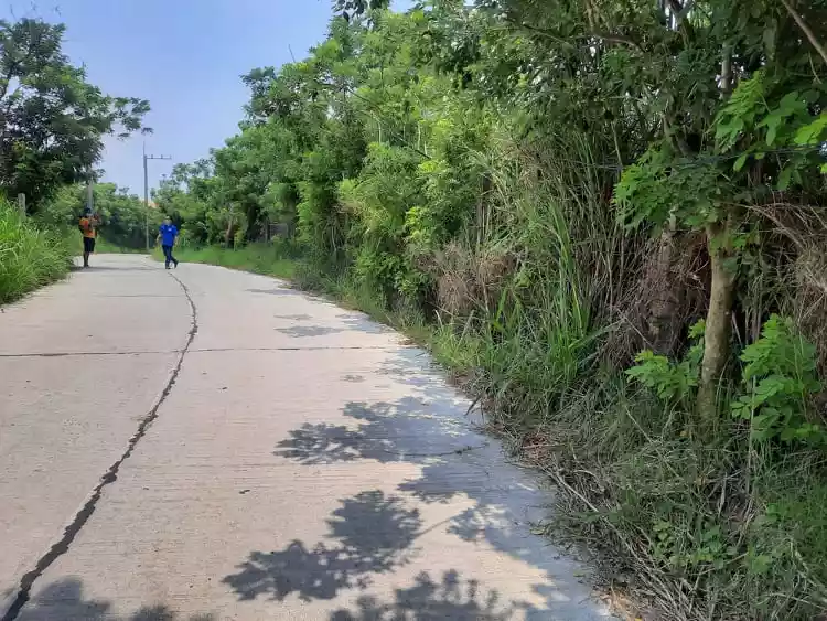 Tagaytay HOT Overlooking Lot w FREE Bungalow  