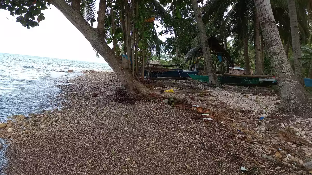 Tax dec — Beach Lot in Catmon, Cebu, Philippines — Photo 7