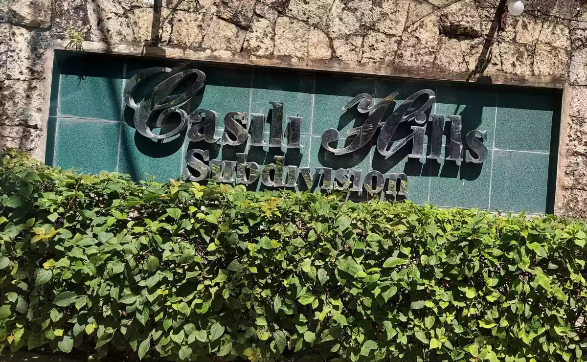 LOT ONLY FOR SALE IN CASILI HILLS SUBDIVISION — Residential Lot in Mandaue City, Cebu, 6014 — Photo 5