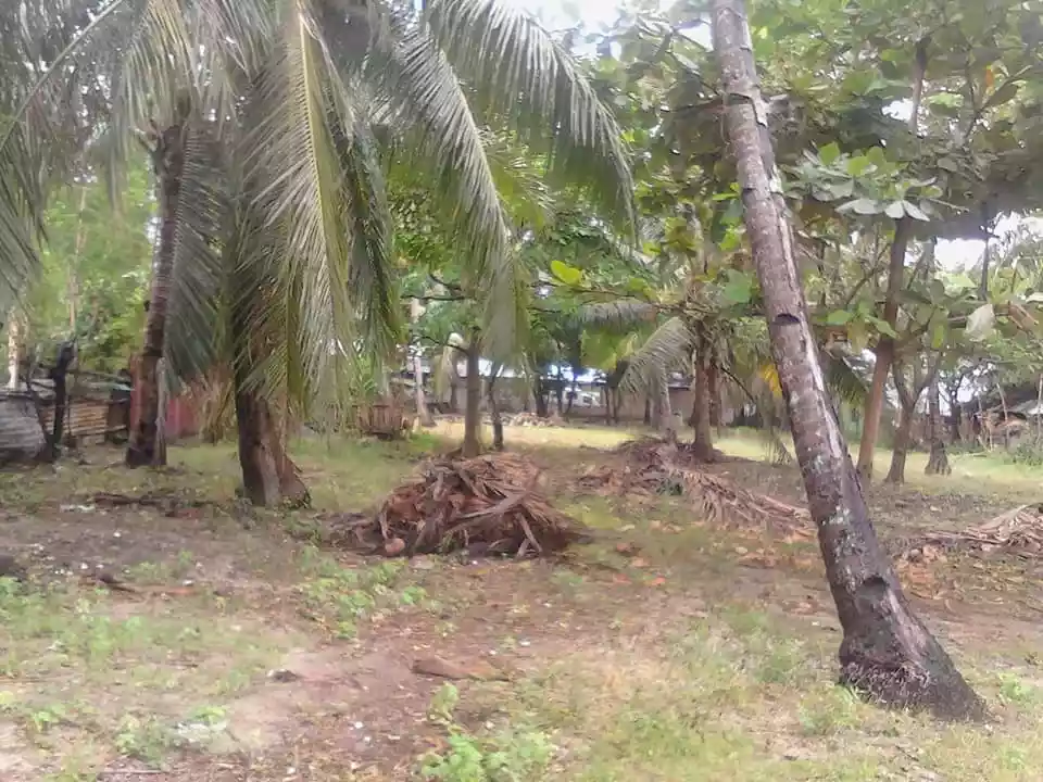 LOT FOR LEASE in Brgy.Talisay, Santa Fe, Bantayan Island, Cebu — Beach Lot in Philippines — Photo 7