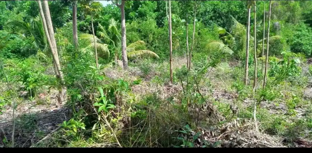 Lot for Sale in Biking Dauis, Bohol
