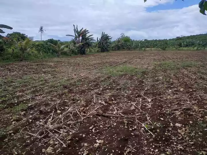 Agricultural Land with house For Sale - photo 3