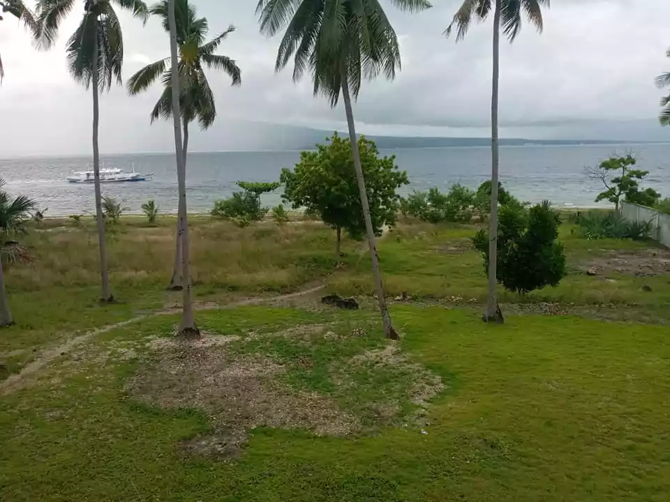Beach lot for sale in Santander Cebu  - photo 5