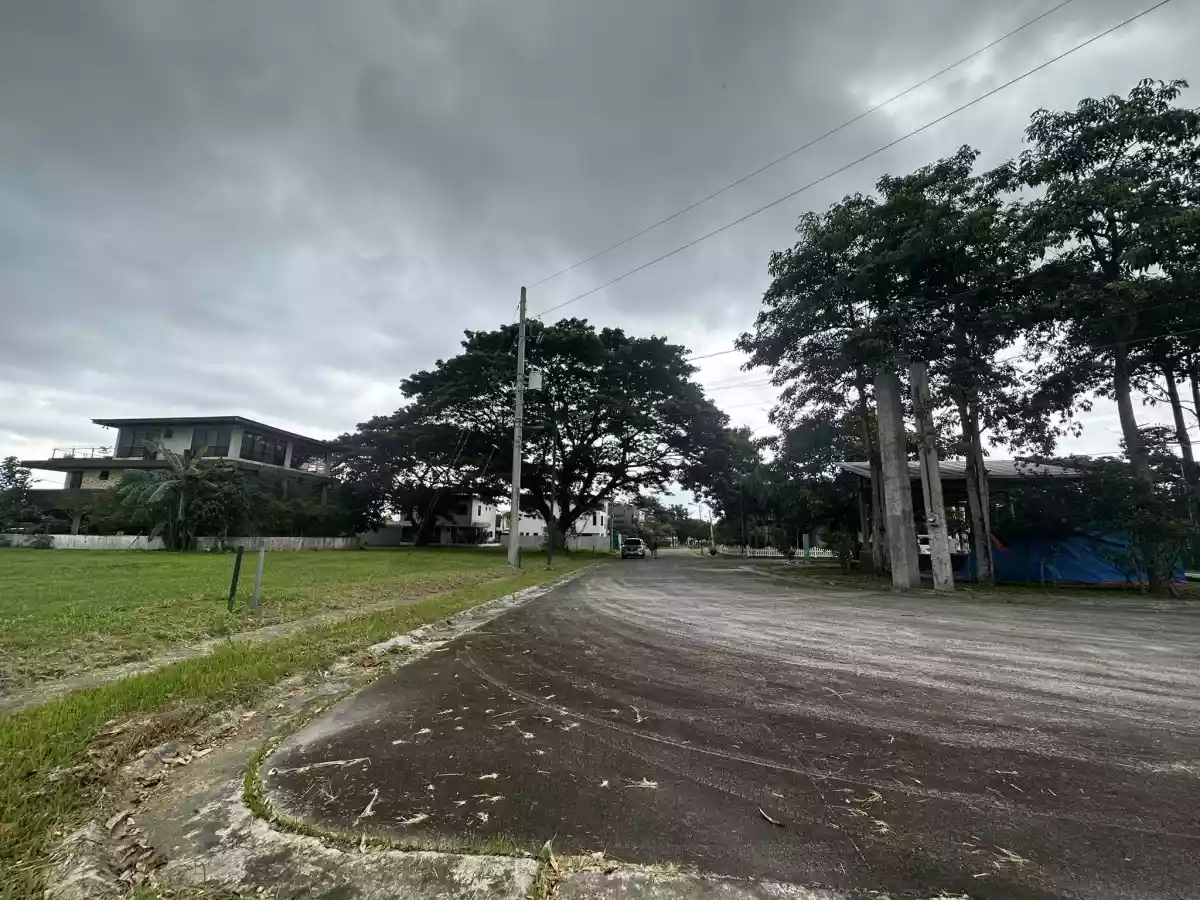 TREVEIA - NUVALI Lot For Sale! — Residential Lot in Calamba, Laguna, Philippines — Photo 5