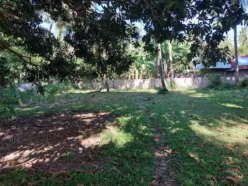 Rush Sale Lot in Dumaguete — Agricultural Lot in Albina Dr, Dumaguete, Negros Oriental — Photo 2