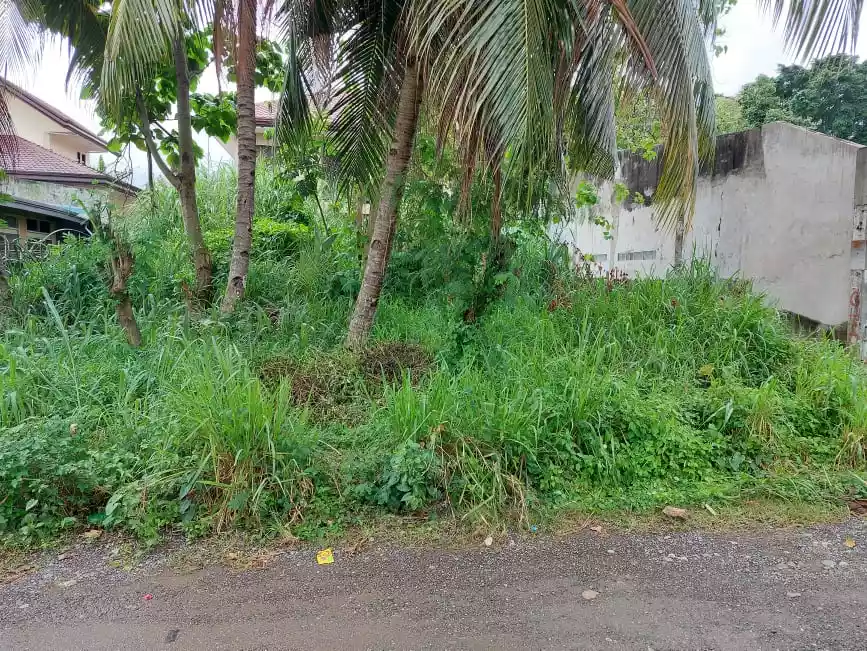 Vacant lot at Diamond Village Lanang