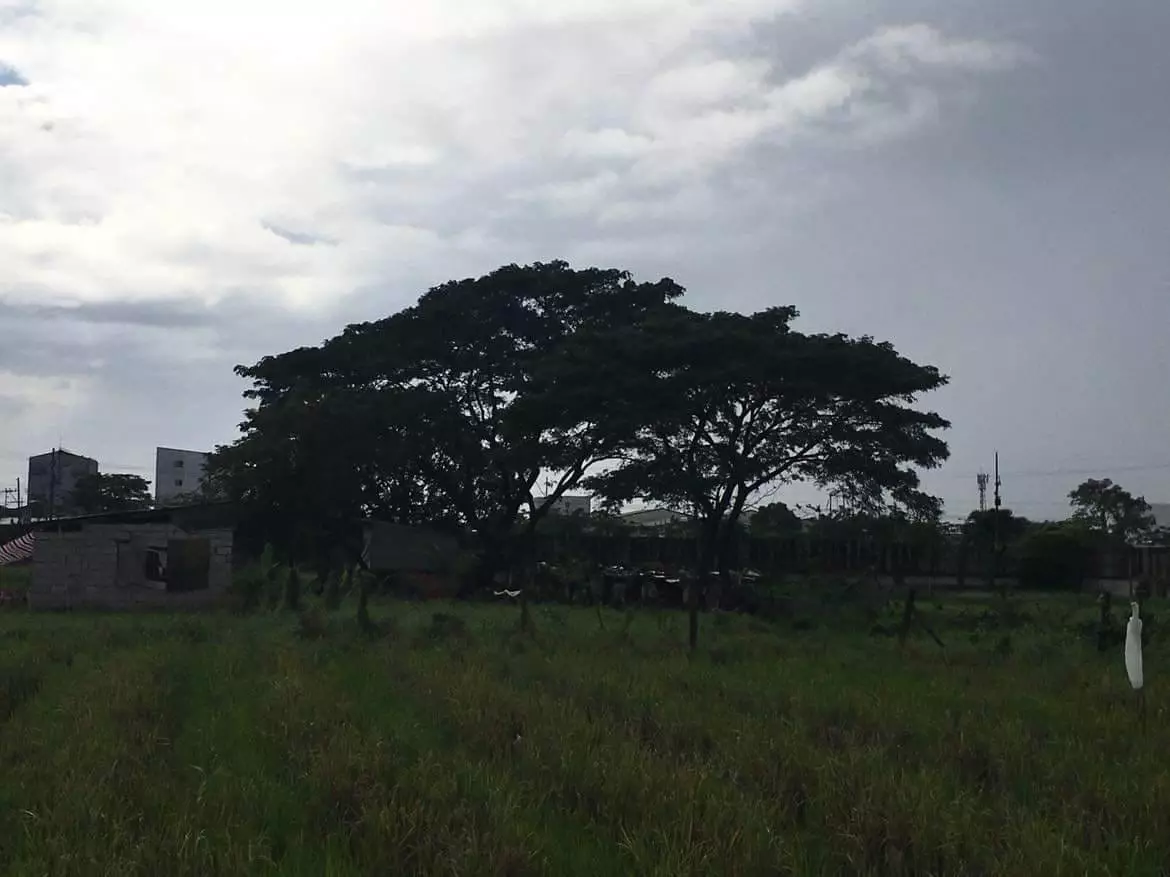 Commercial Lot for Sale — Space in Bocaue, Bulacan, Philippines — Photo 5