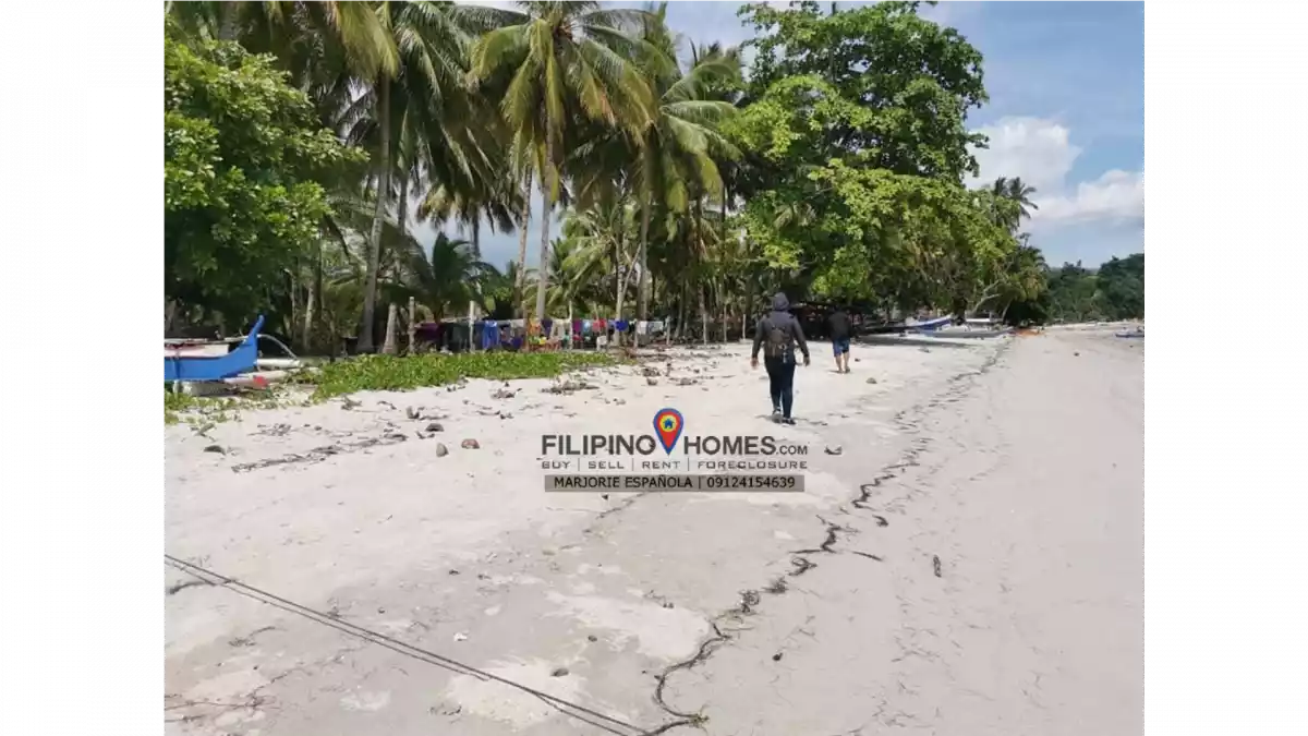 3000 sq.m Beach Lot for Sale with WHITE SAND || Glan, Sarangani — Beach Lot in Glan, Sarangani, Philippines — Photo 4