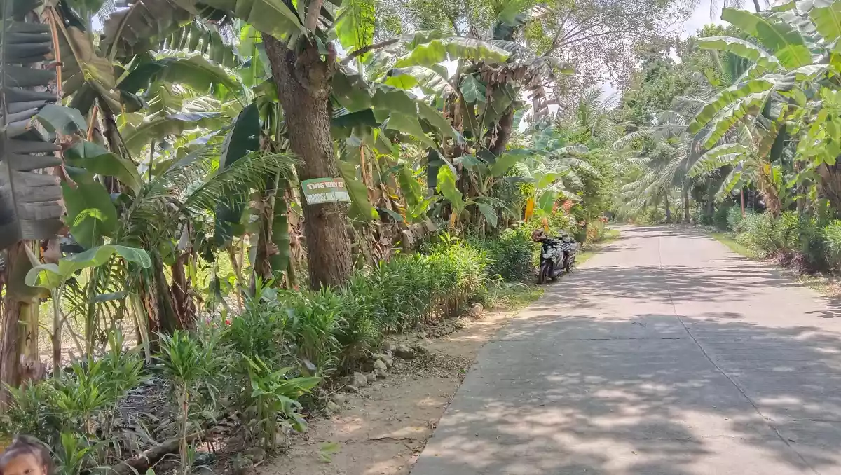 Lot for Sale - photo 4
