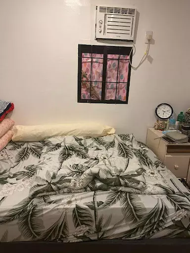 Open photo 40 of 44 — 2 Storey House for Sale in Bacolod 
