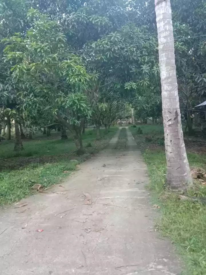 HOUSE AND LOT/FARM IN MALITA, DAVAO DEL SUR — House and Lot in Davao del Sur, Philippines — Photo 7