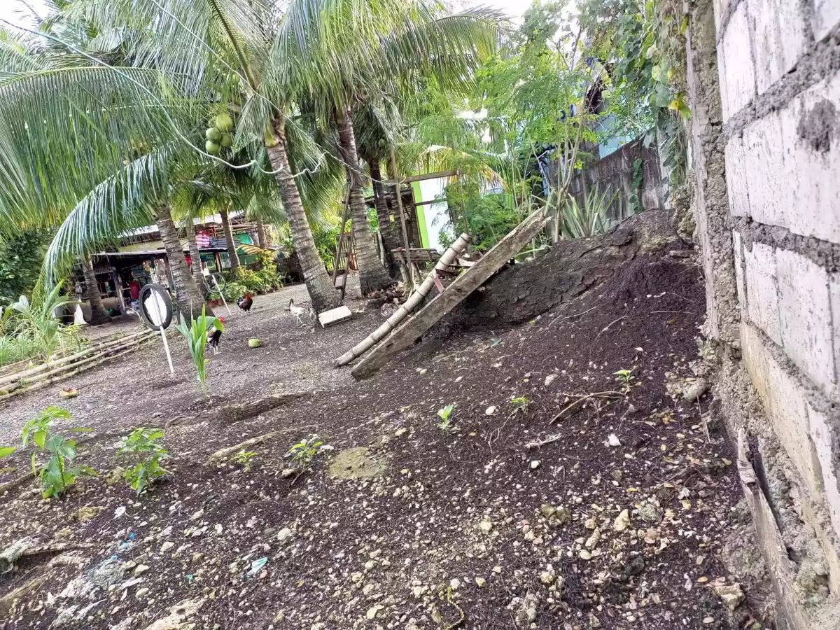FOR SALE BEACH LOT IN POLAMBATO - photo 2