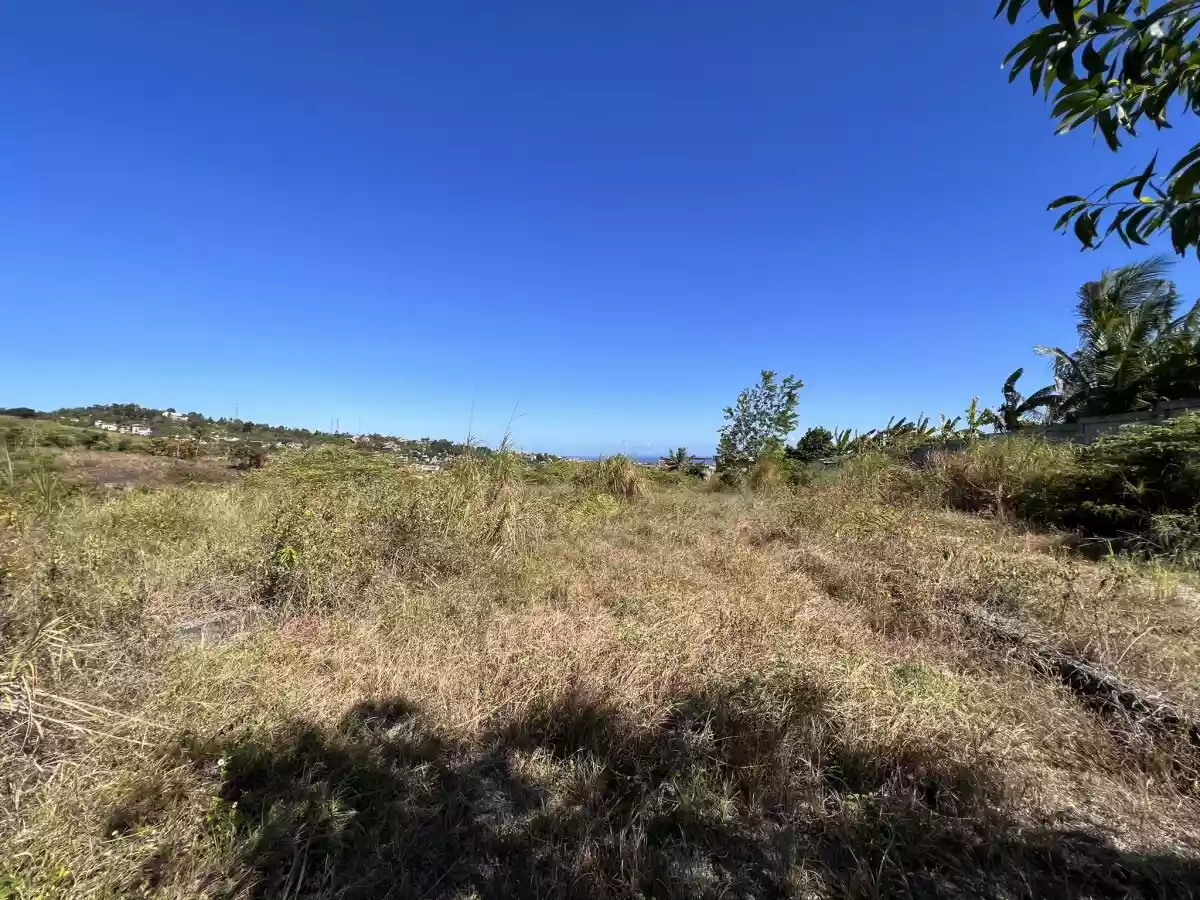 Subdivision Lot for Sale in Linao Talisay City, Cebu - photo 2