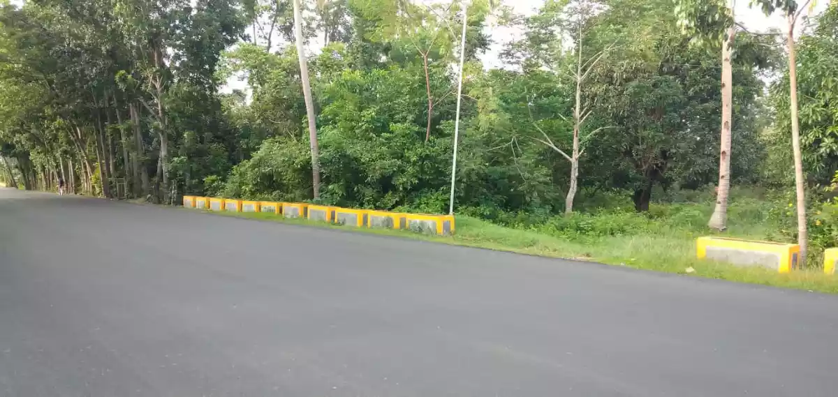 2,389 SQM LOT IN SAN REMIGIO, NORTH CEBU - photo 4