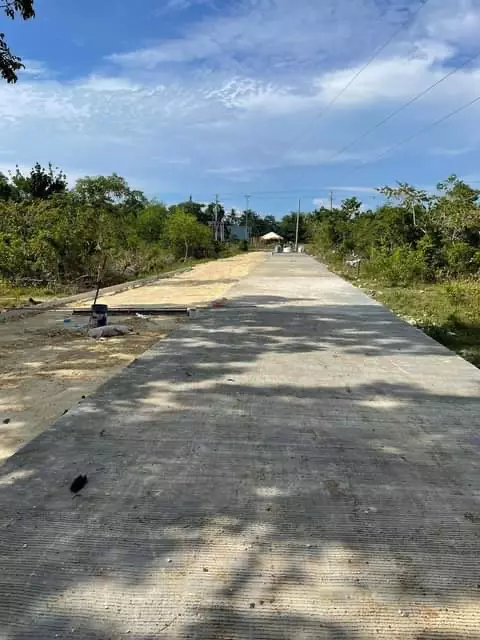 Panglao Lot for Commercial and/or Residential Devt — Commercial Lot in Panglao, Bohol, Philippines — Photo 3