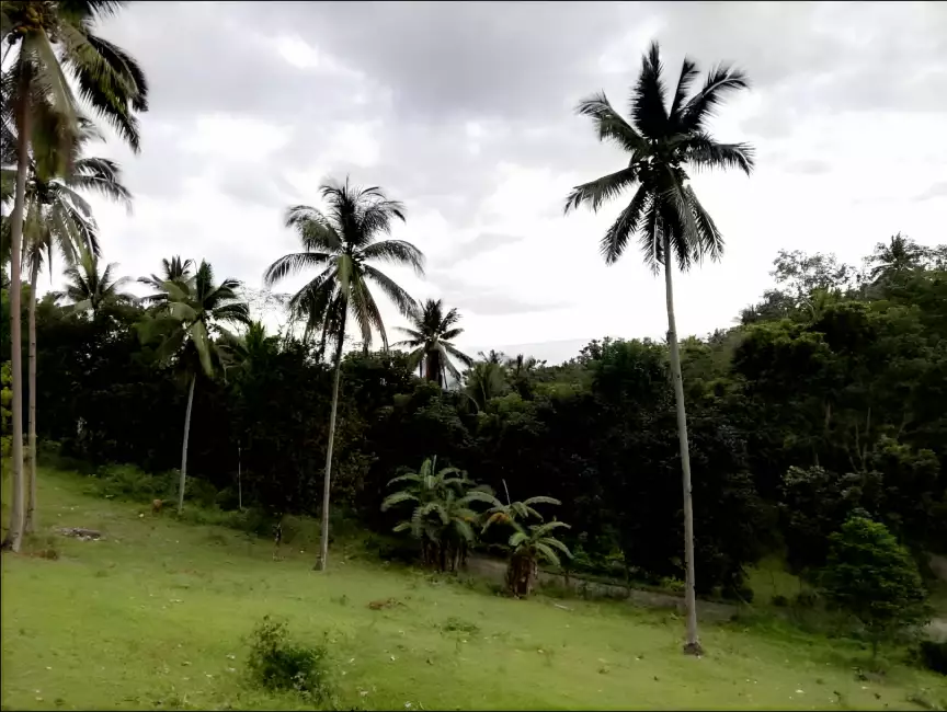 LOT FOR SALE - photo 2