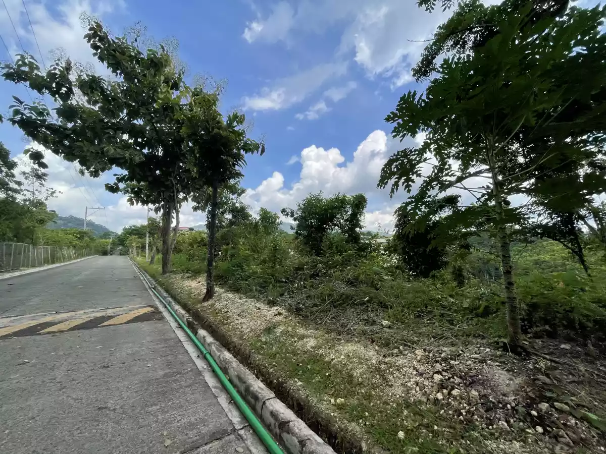 Lot for Sale in Maria Luisa Estate Park - photo 3