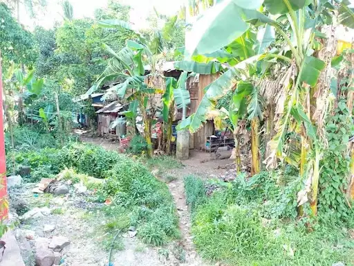 Titled — Commercial Lot in Agusan Del Norte, Philippines — Photo 3