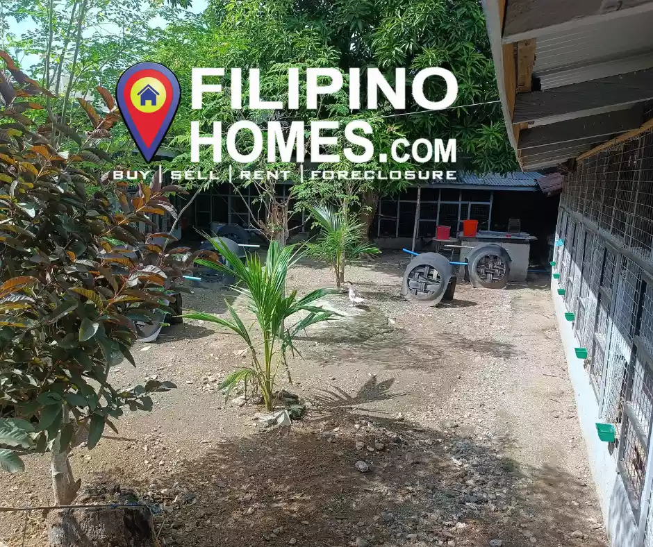For sale Farm/Residential with commercial Space in Siain Plaridel Quezon Clean Title, ideal for Residential, Apartment, Space Rental — Space in Plaridel, Quezon, Philippines — Photo 4