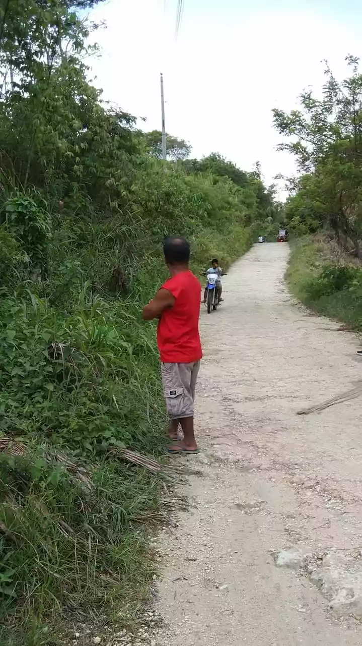 â€¼ï¸RUSH SALE FARM LOTâ€¼ï¸ 3.5hectares Megcawayan, Calinan, Davao City along barangay road. Planted with Falcata, rubber, mahony trees  and corn. With spring in the middle of the property. 5.6m  - photo 4