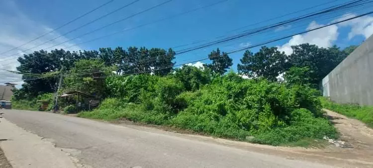 INDUSTRIAL LOT FOR SALE - TAYUD, CONSOLACION - photo 3