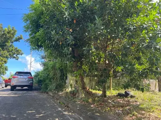 164sqm residential lot in El Monteverde in Lamac Consolacion — Residential Lot in New Orleans Street, Lamac, Consolacion — Photo 5