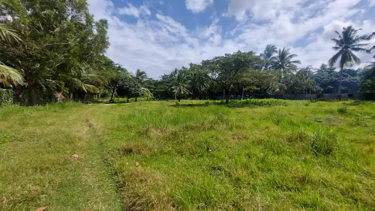 Beachlot for sale — Beach Lot in San Remigio, Cebu, Philippines — Photo 5