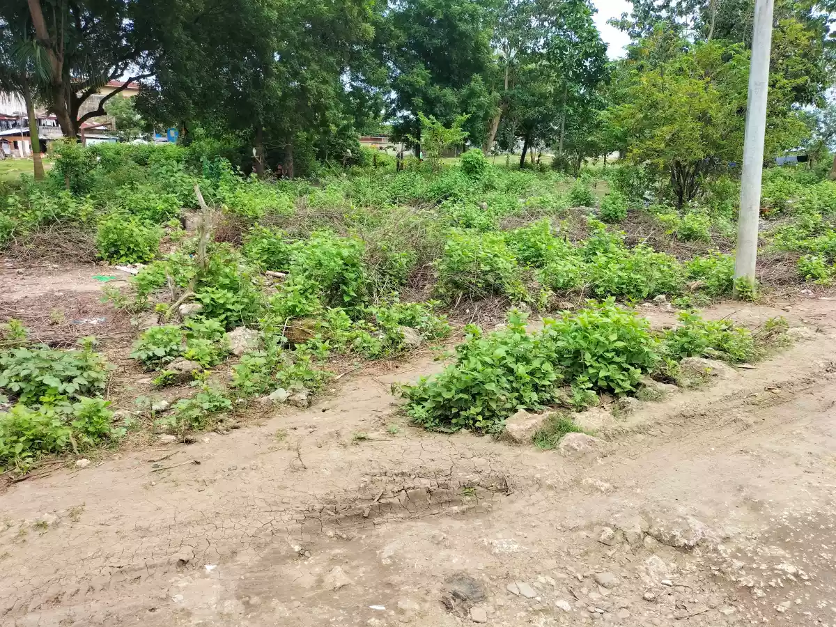 Residential lot - photo 5