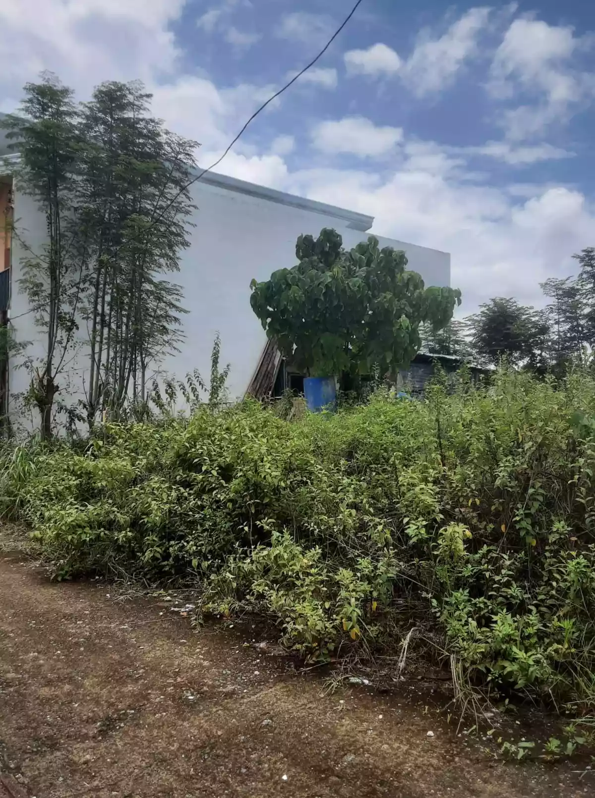 Lot for sale inside subdivision  - photo 2